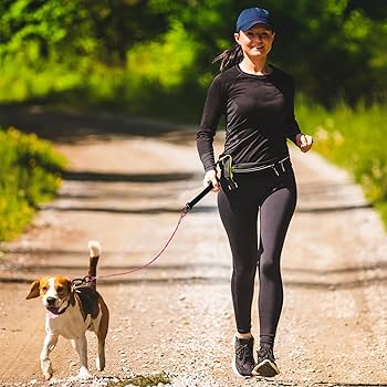 hands-free leash