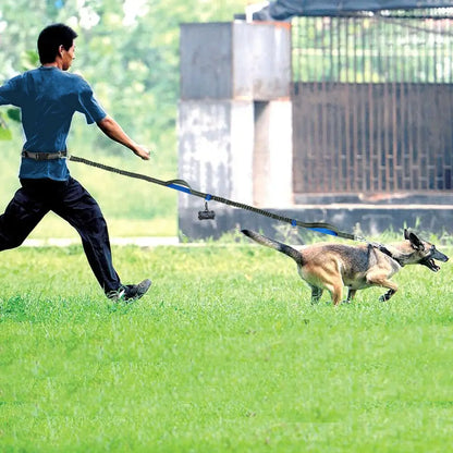 Reflective Elastic Hands-Free Dog Leash