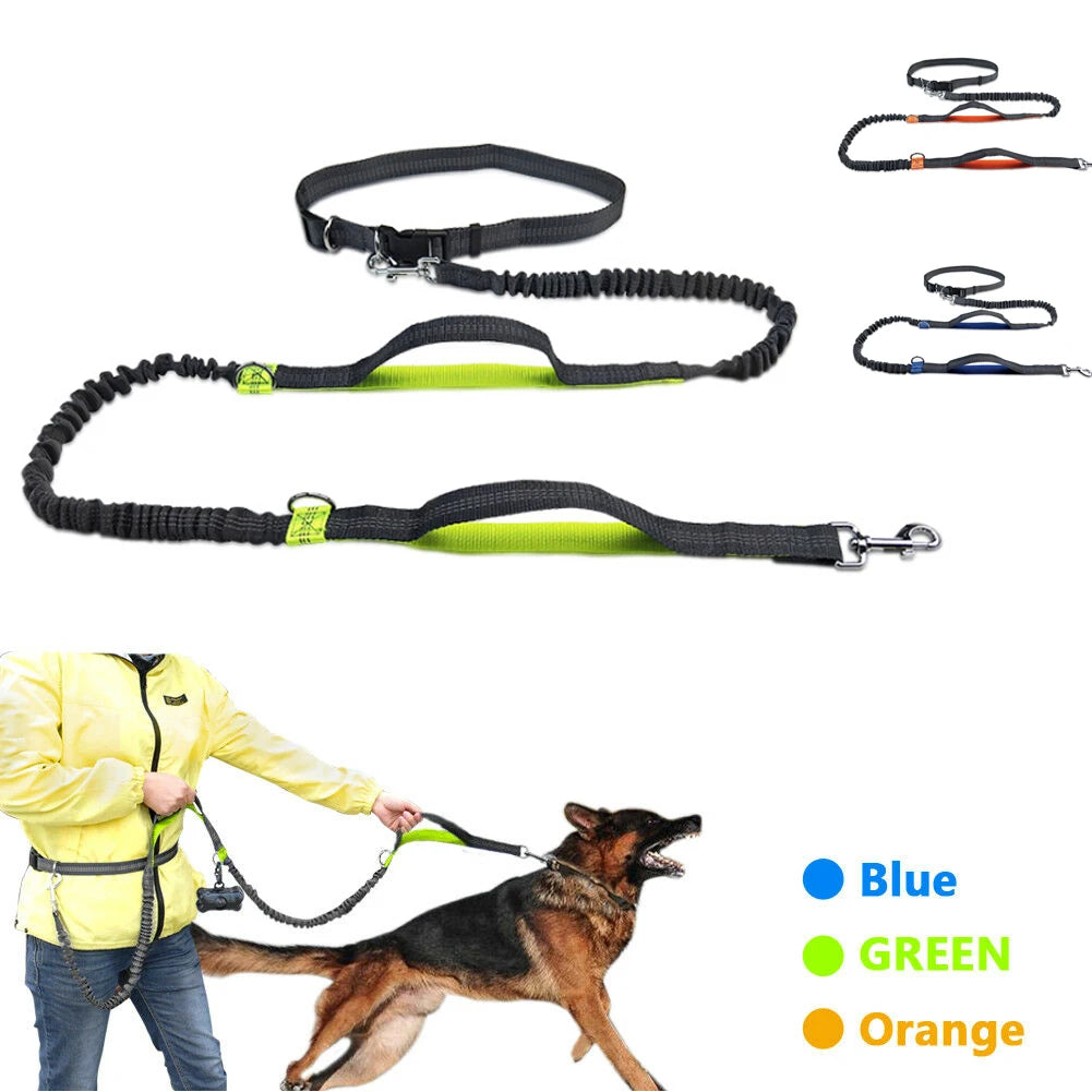 Reflective Elastic Hands-Free Dog Leash