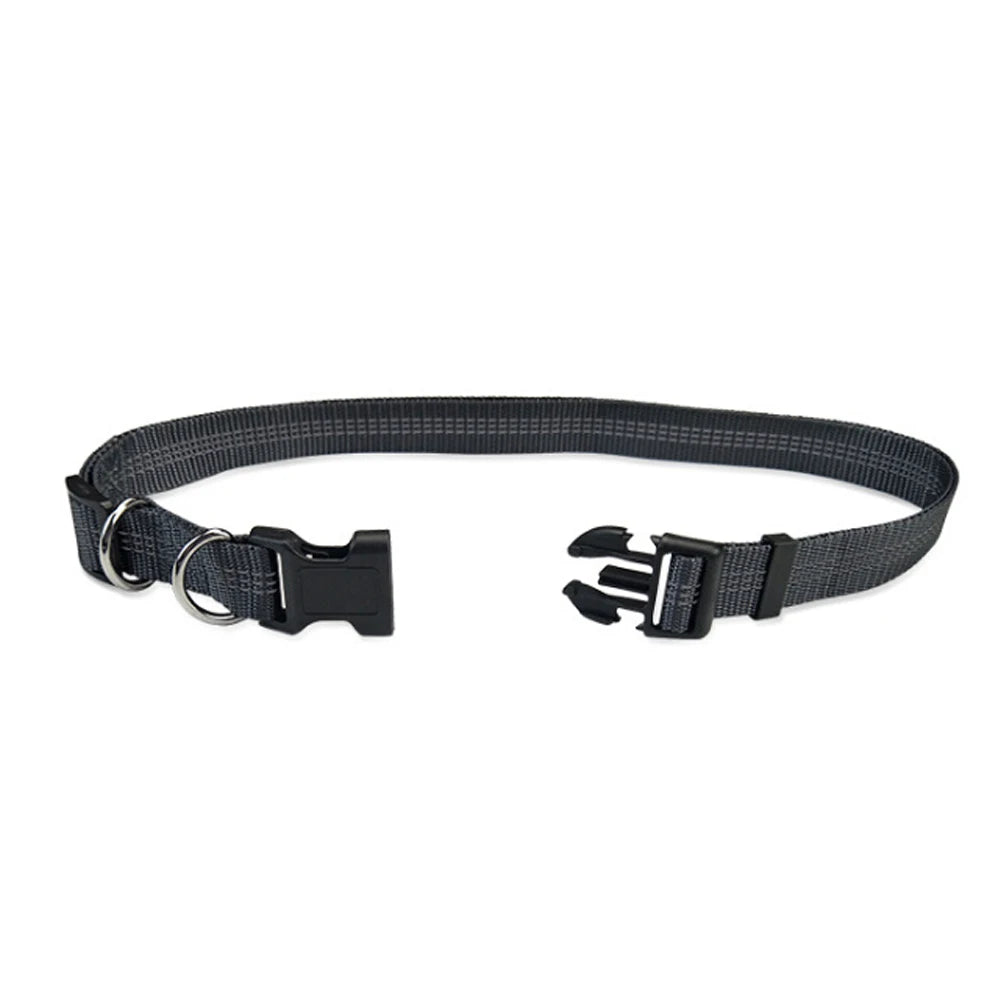 Reflective Elastic Hands-Free Dog Leash