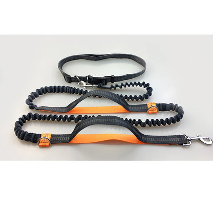 Reflective Elastic Hands-Free Dog Leash