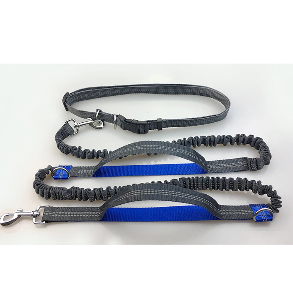 Reflective Elastic Hands-Free Dog Leash