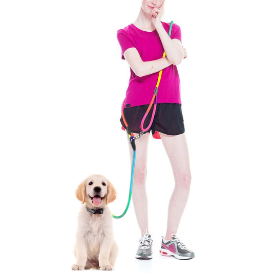 Nylon Hands-Free Dog Leash