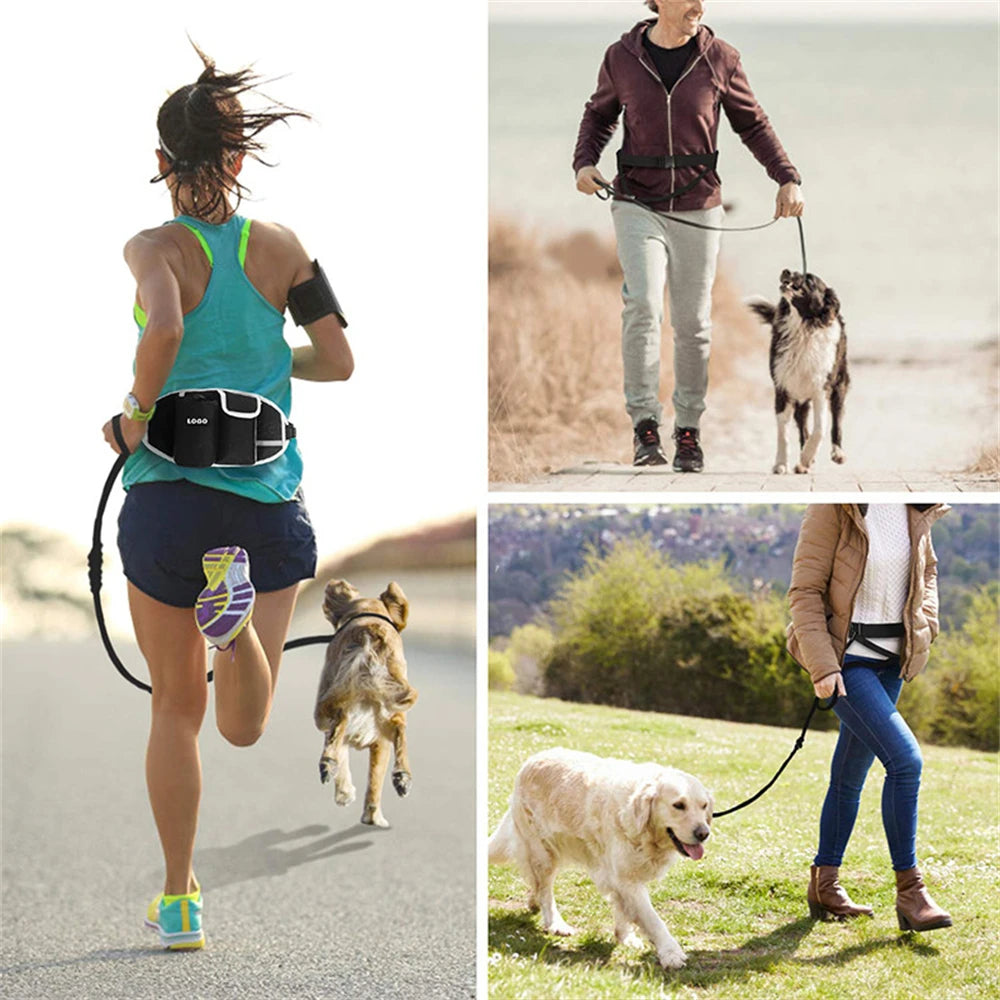 Hands-Free Dog Training Bag with Leash