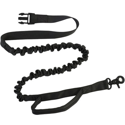 Reflective Hands-Free Dog Leash with Bag