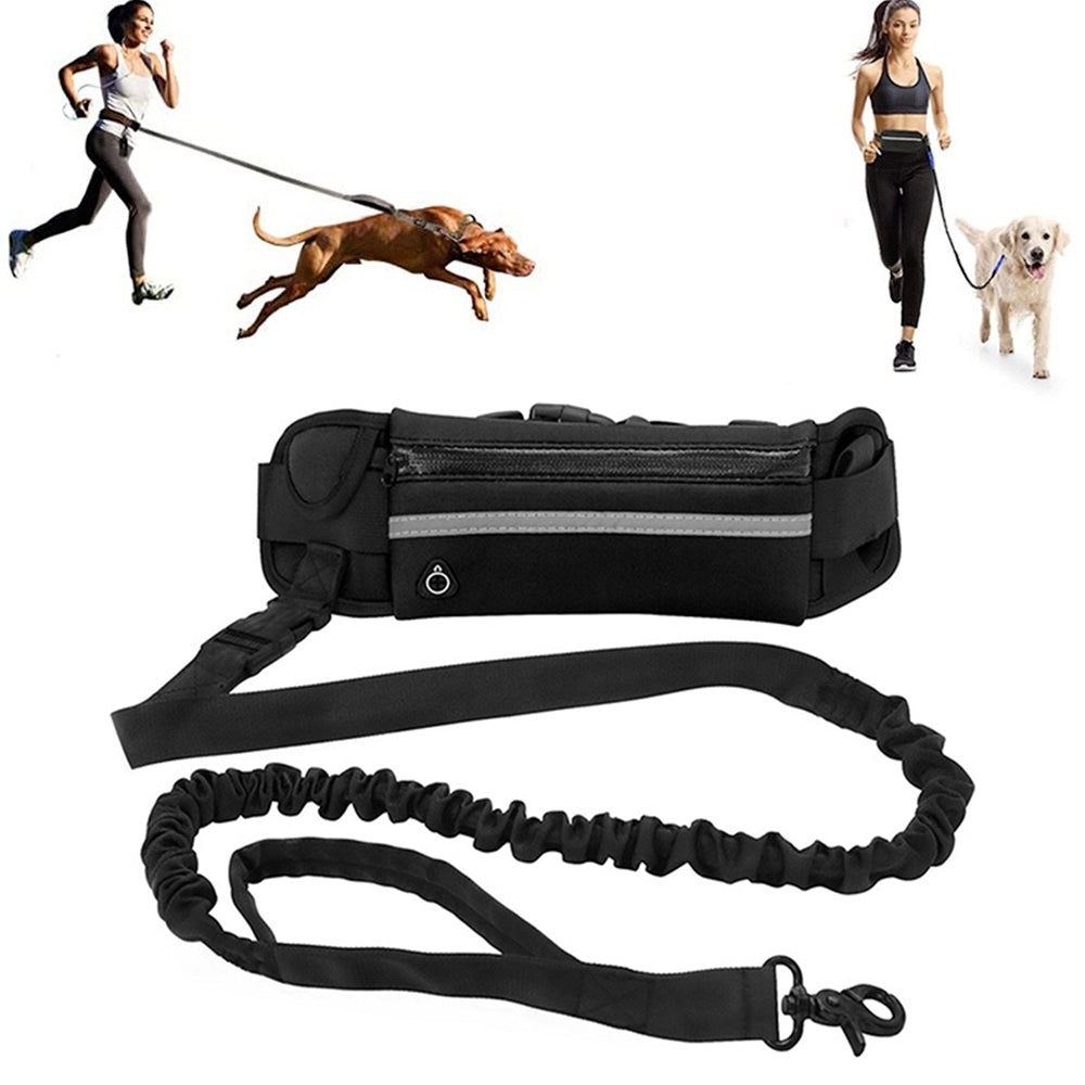 Reflective Hands-Free Dog Leash with Bag