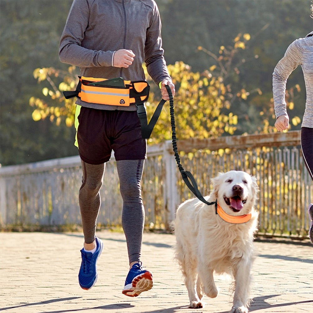 Reflective Hands-Free Dog Leash with Bag