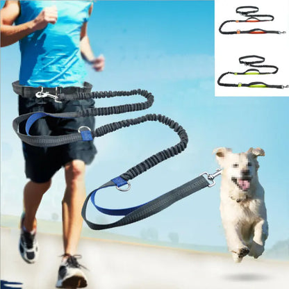 Reflective Elastic Hands-Free Dog Leash