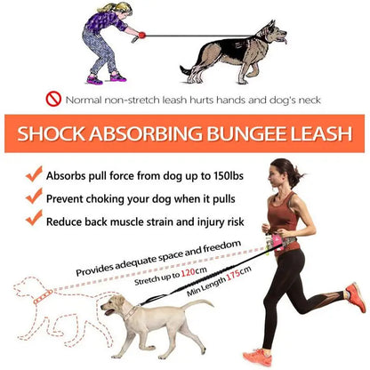 Hands-Free Retractable Dog Leash Set with Waist Pack