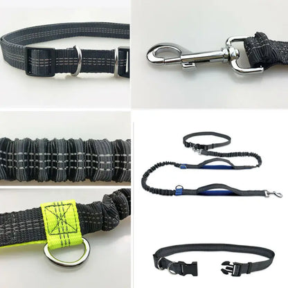 Reflective Elastic Hands-Free Dog Leash