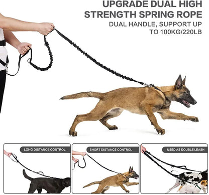 Hands-Free Dog Training Bag with Leash